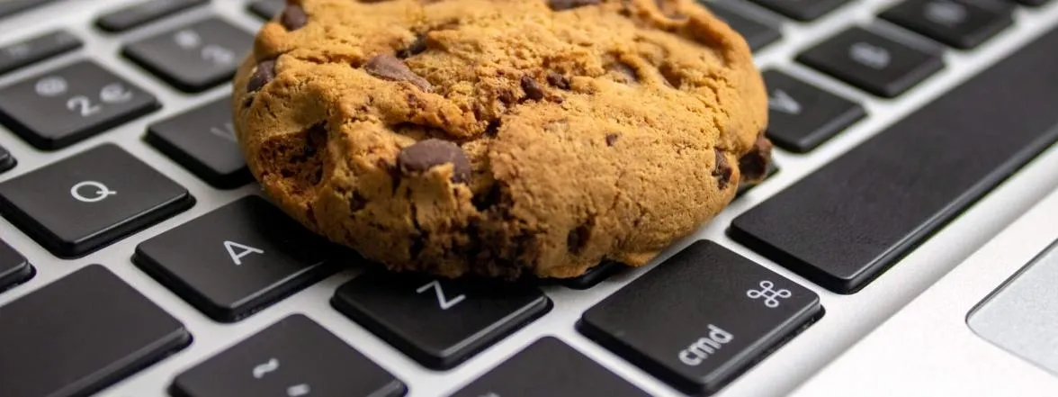 ¿Va a ser el mundo post-cookies más respetuoso con la privacidad? Ya hay muchas dudas
