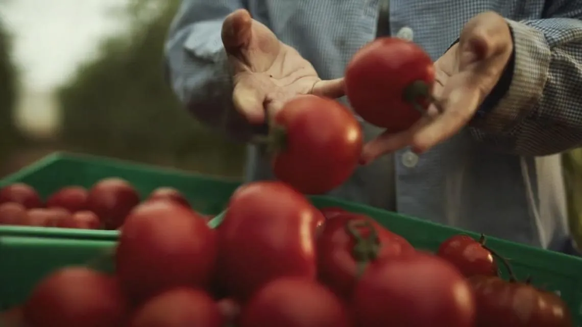 La promesa de lo local: por qué el localismo se mantiene como una de las grandes estrategias de venta y de los activos en marketing y publicidad